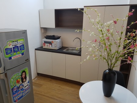 CHDV full nt giá tốt trung tâm quận 1, mặt tiền đường ô tô.