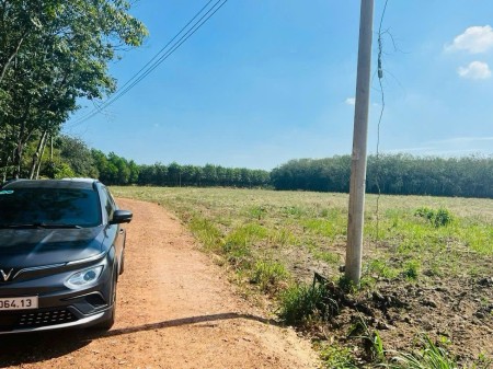 Rổ zá ra nhanh lẹ lỗ 50% gần 300m2 chỉ 150tr ký nhanh nhận sổ về tay liền.