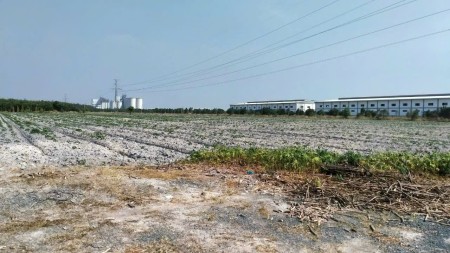 Khu đất Trung Tâm Hành Chính Thị Xã Chơn Thành, Bình Phước