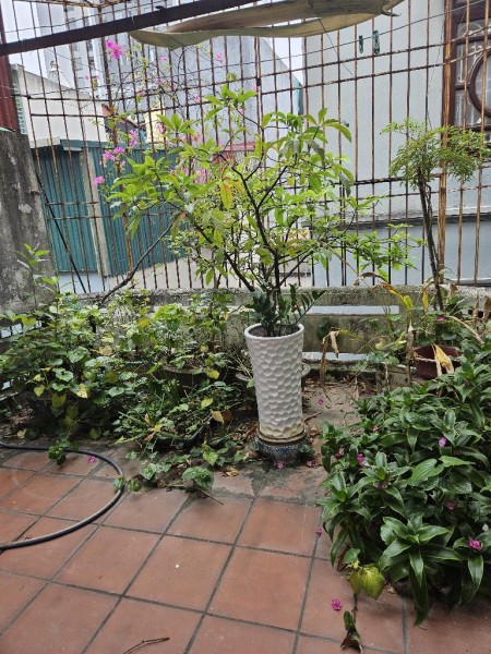 Đi đến slide 9