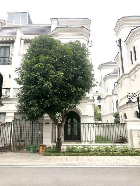 Bán nhanh căn biệt thự song lập trục sao biển 08, Vinhomes Ocean Park, gần hồ Ngọc Trai-28,x tỷ bp