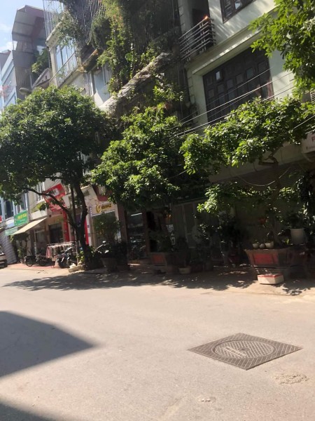 55m2, 8 tỷ, đất Phố Tứ Liên, 2 mặt ngõ trước sau, ô tô vào được cả mặt trước và sau