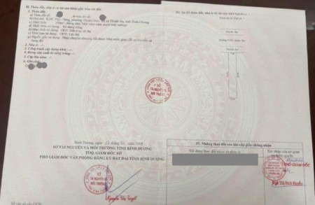 Bán dãy trọ 300m2, full thổ cư, hướng Bắc, đường NA9 KDC Việt Sing giá 7.x tỷ