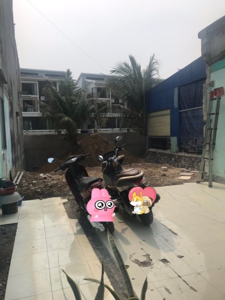 Cho thuê 200m2 mặt đường Thị Trấn Cát Bà