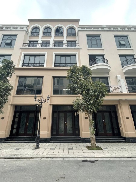 Cọ Xanh 48m Vin2 hàng kí mới CDT giá 4,8ty số lượng có hạn nhanh tay thì còn ạ