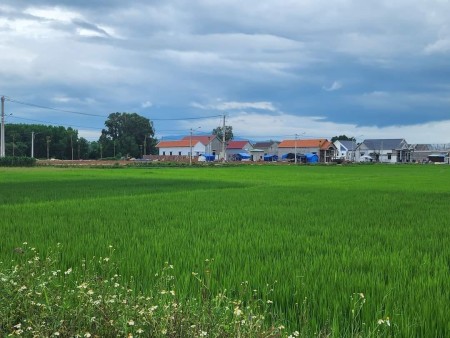 Mỹ Hiệp Phù Mỹ Cần bán đất thôn Đại sơn. Vị trí đẹp giáp quốc lộ 1A và đường tây tỉnh DDT638