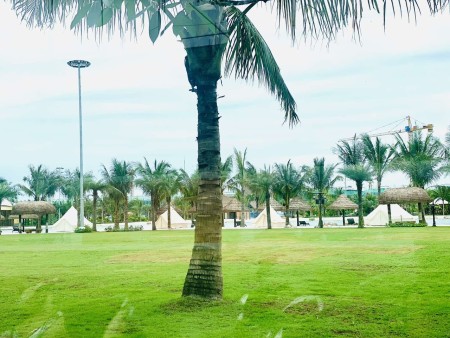Đi đến slide 7