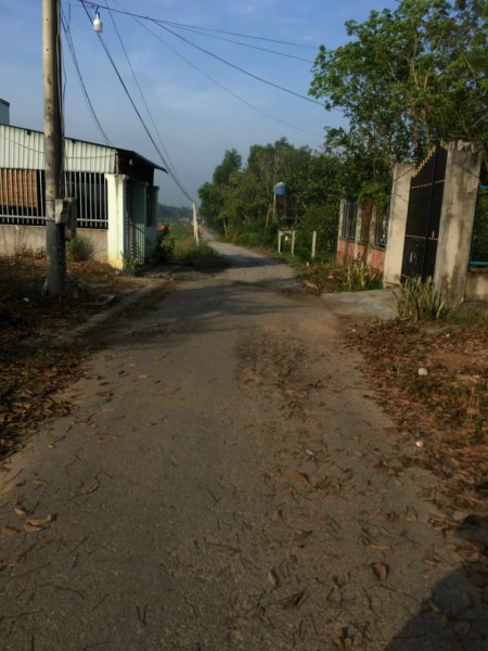 Chủ ngộp cần bán đất Tân Định 004 giá chỉ 1.3 tỷ, liên hệ 0384329615 Luyến