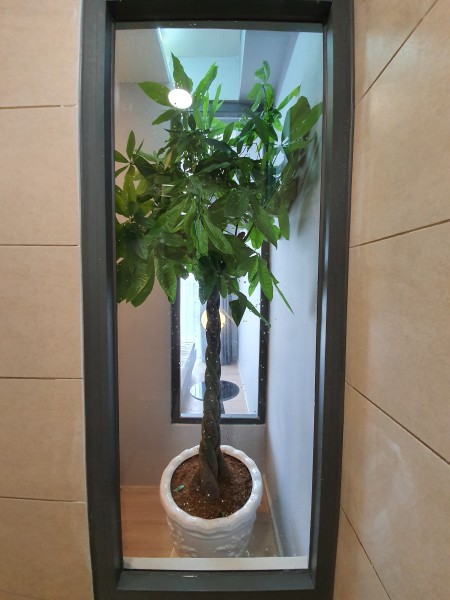 Emerald cho thuê căn hộ 1pn, 1wc nội thất cơ bán giá 10 triệu