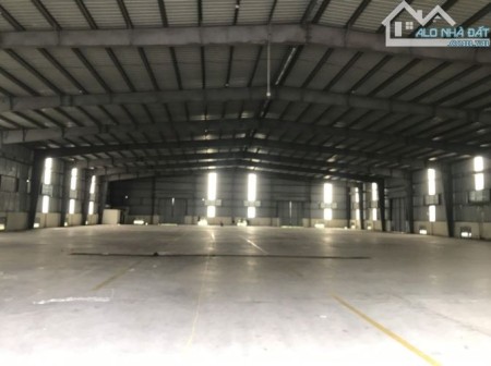 Cho thuê kho xưởng tại KCN Nam Thanh Long