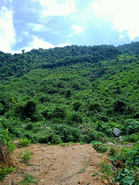 Đi đến slide 8