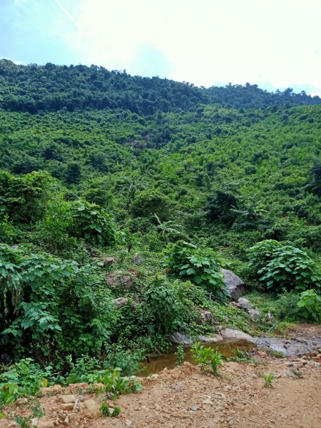 Đi đến slide 4