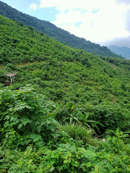 Đi đến slide 2