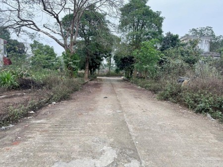 TĐC Bắc Phú Cát giá 36,5 triệu/m2 lô 200m2 cổng trường học