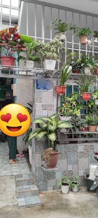Hẻm xe hơi, chủ là giáo viên nhà đẹp tuyệt vời, 76M2, nhỉnh 5 tỷ