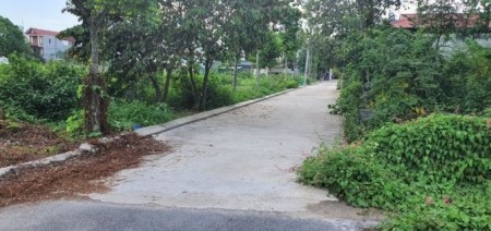 Cần tiền mua nhà cho con, tôi bán gấp đất 90m2 tái định cư Bình Yên - sát khu công nghệ cao Hòa Lạc