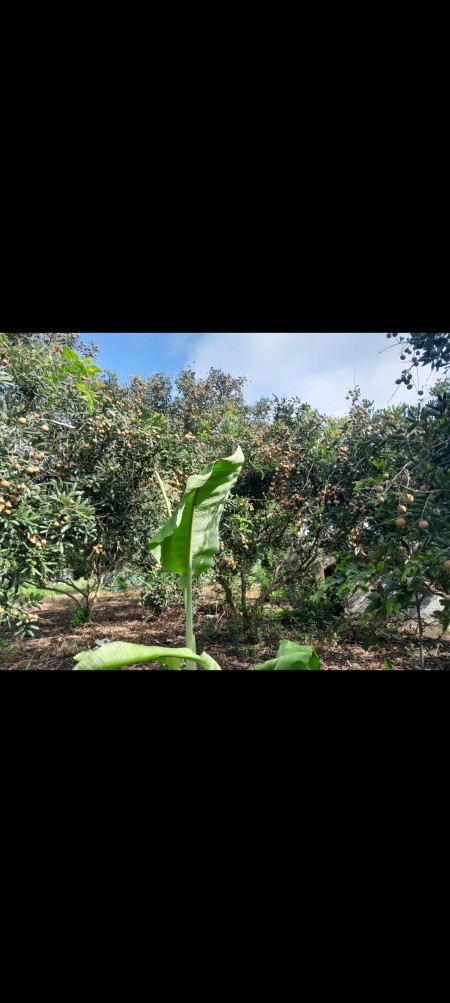 Đi đến slide 7