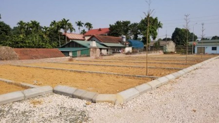 Bán đất tái định cư Bắc Phú Cát. Diện tích 200m2, mặt tiền 6m. Cạnh chung cư Phenikaa