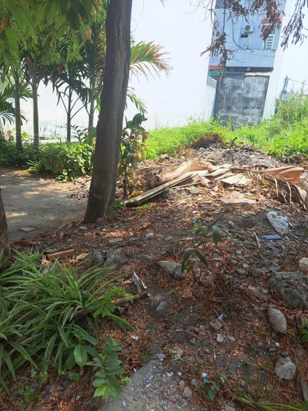️ Đất khu phân lô đồng bộ (4x23m), Đường rộng 7m, P. Tân Thới Hiệp, Q12