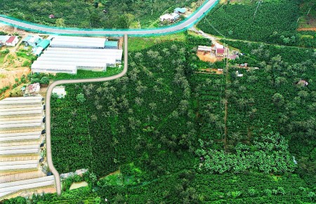 Cần tiền bán 1.1HA lô đất Xuân Trường MT QL20 cách chợ Đà Lạt 17KM, 35 tỷ giảm còn 18 tỷ