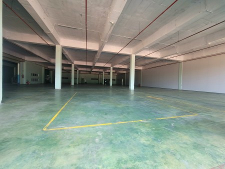 Cần cho thuê kho xưởng trong KCN Nhơn Trạch, Đồng Nai