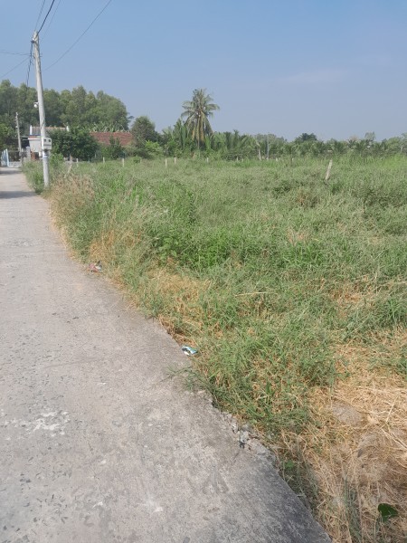 Bán 153m2 đất thổ cư tại Thành Phố Gò Công, Tiền Giang, giá 230tr, có sổ rồi.