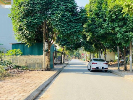 Chính chủ bán 120m2 tại khu tái định cư Bắc Phú Cát - Hòa Lạc
