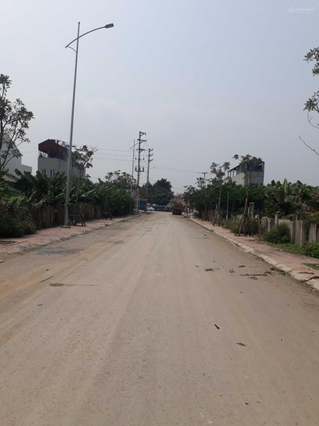 Đất biệt thự đấu giá Thọ Sơn Đại Nghĩa - Mỹ Đức