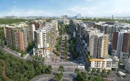 Đi đến slide 8