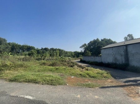 Đất full thổ cư 150M2 tại xã Bình Yên