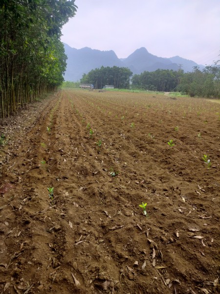 Đi đến slide 7