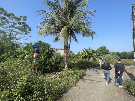Đảm bảo giá thấp nhất lô đất mặt đường đôi TĐC ĐHQG 100m2 mặt 5.5m chỉ 25tr/m2