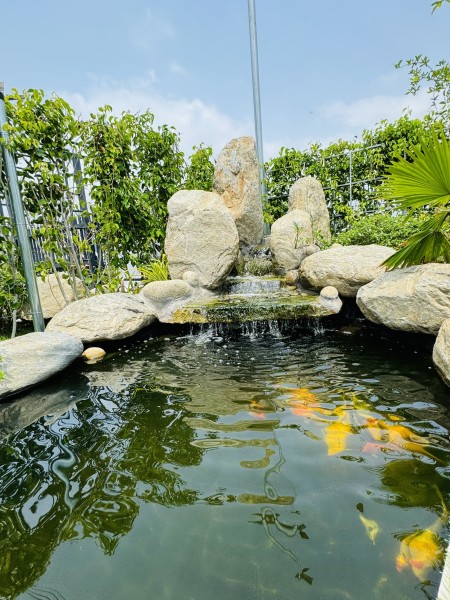 Đi đến slide 6