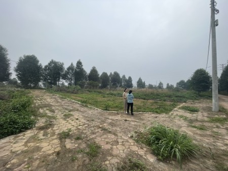 Trục chính linh sơn rẻ hơn thị trường 5 giá, kinh doanh buôn bán được luôn