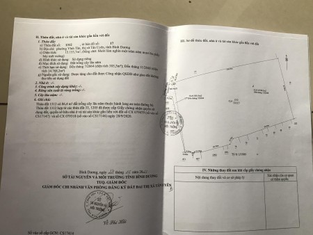 Chính chủ cần cho thuê mặt bằng rộng 15.000m2 ở Vĩnh Tân, Tân Uyên, Bình Dương SĐT 0347745686