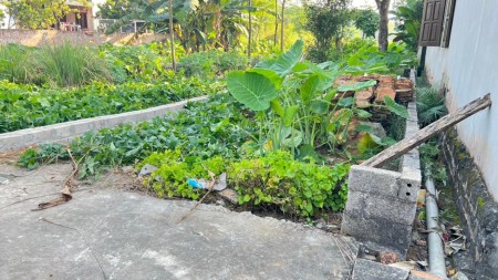 Cần bán lô đất 65m2 mặt tiền 5,2m đất vuông vắn đường trước mặt 5m giá