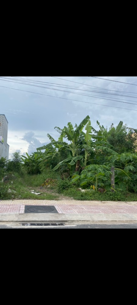 Bán đất nền thổ cư tại Thị Trấn Tân Hoà, Gò Công Đông, Tiền Giang, 7x28m đường nhựa, sổ riêng