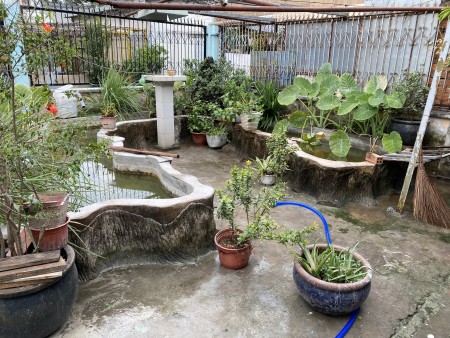 Nhà mới sơn sửa, sân rộng, có kho. Tiện ở + Làm kho, kinh doanh online