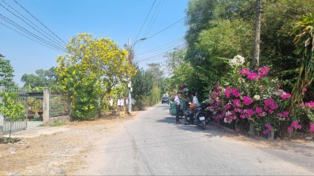 Đi đến slide 11