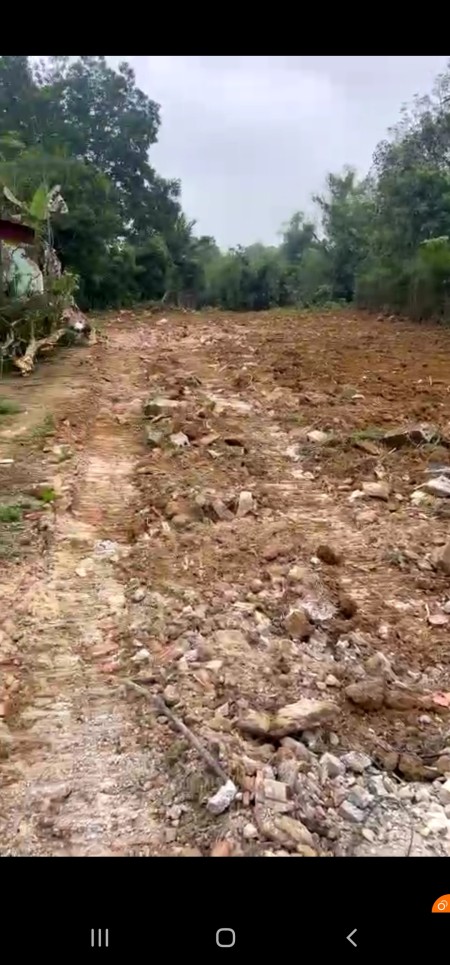 Bán nhanh đất ở đô thị bám sông tại Sao Vàng Thanh Hóa chỉ 4,x tỷ