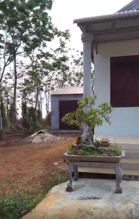 Đi đến slide 5