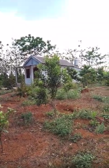 Tổng diện tích là 3.100m vuông, mảnh đất ngang 35, dài 90, có 2 cái nhà xây hơn 1 năm rất đẹp