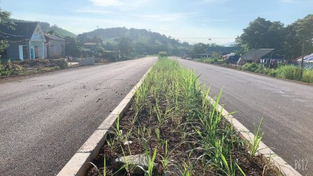 Bán đất 1000m đất ở thị trấn Sao Vàng, Thanh Hóa
