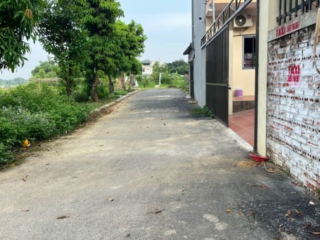 Cắt lỗ lô đất 70m2, 2 mặt tiền. Đường nhựa ô tô tránh nhau tại Tân Xã, Thạch Thất