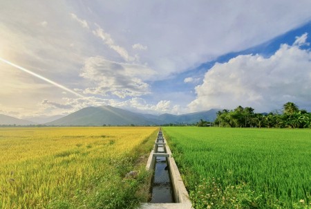Đi đến slide 3
