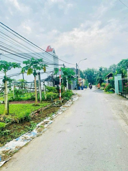 Bán Đất Thổ Cư DT 5X21. Giá Bán 1Ty250 MT đường Bến Than Tân Thạnh Đông Củ Chi