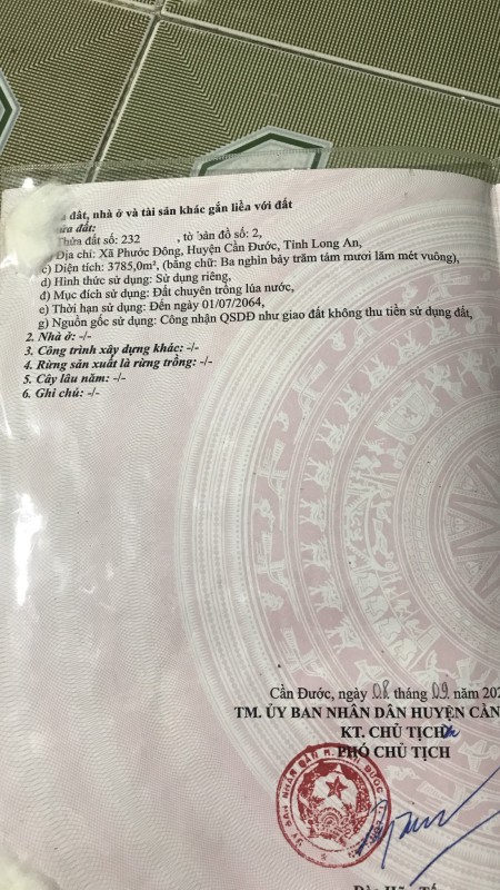Bán gấp đất nông nghiệp trồng lúa lâu năm.