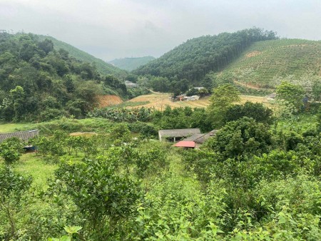 Đi đến slide 14