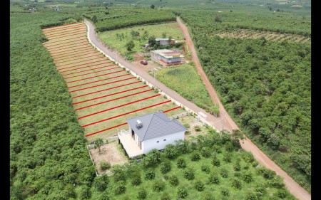 Đất nền Bảo Lộc - Lâm Đồng view đẹp