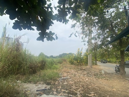 Cho thuê đất trống 10.000m2. Đại lộ Bình Dương. Thủ Dầu Một.